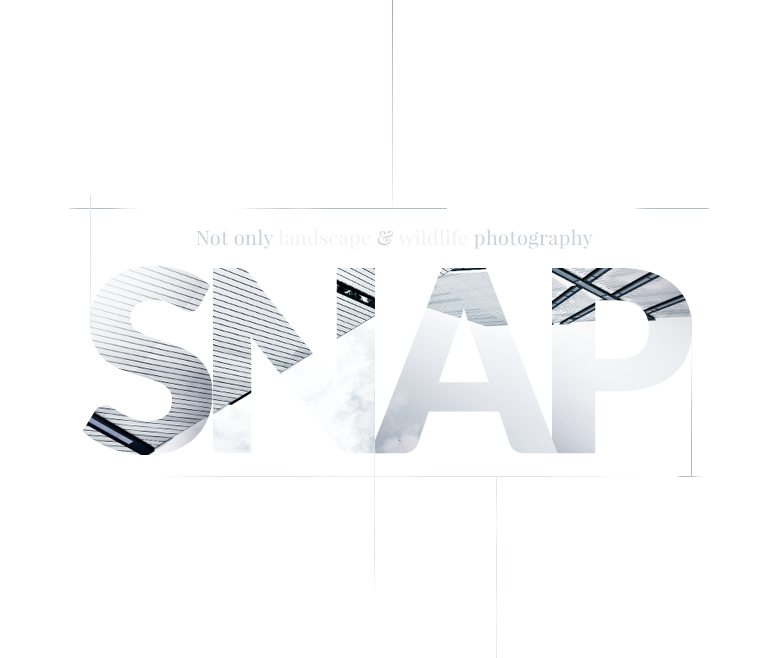 Home snap